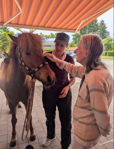 Ponybesuch auf unserer Terrasse – Bild 4